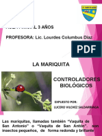 Presentacion Diapositiva-Exposicion Mariquita