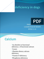 Mineral Deficiency in Dogs