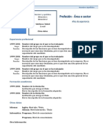 Curriculum Vitae Modelo1 Azul