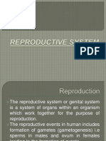 FINALS 1 Reproductivesystem-181027135438 PDF
