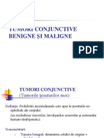 5 AML - Tumori Conjunctive PDF