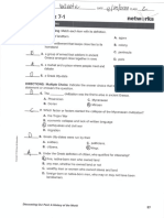 Lesson 7-1 Quiz Worksheet PDF