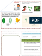 Aprendemos A Calcular Con Las Características de Plantas Medicinales EEE