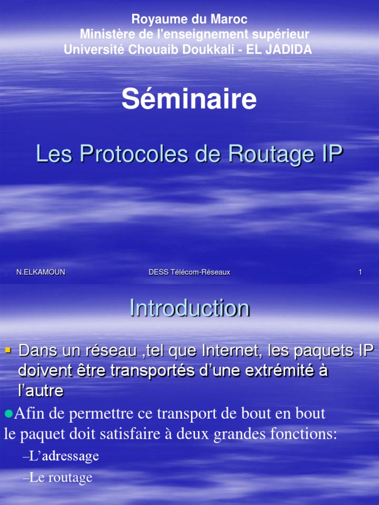 Protocoles de Routage IP en Réseaux | PDF | Routage | Protocoles de ...