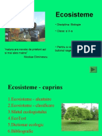 PPT-ecosisteme