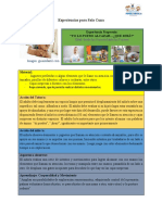 Planificación Niveles Sala Cuna 21 PDF