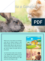 Cuento Gato o Conejo.pdf