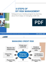 The 8 Steps of Credit Risk Management