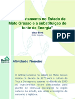 Reflorestamento em MT e Substituicao Fonte Energia