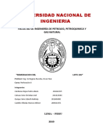 REMEDIACION DEL LOTE 192 DE LA UNIVERSIDAD NACIONAL DE INGENIERÍA