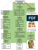 Dieta Mediterranea