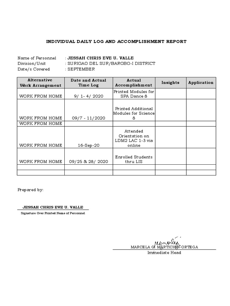 Individual Daily Log and Accomplishment Report | PDF