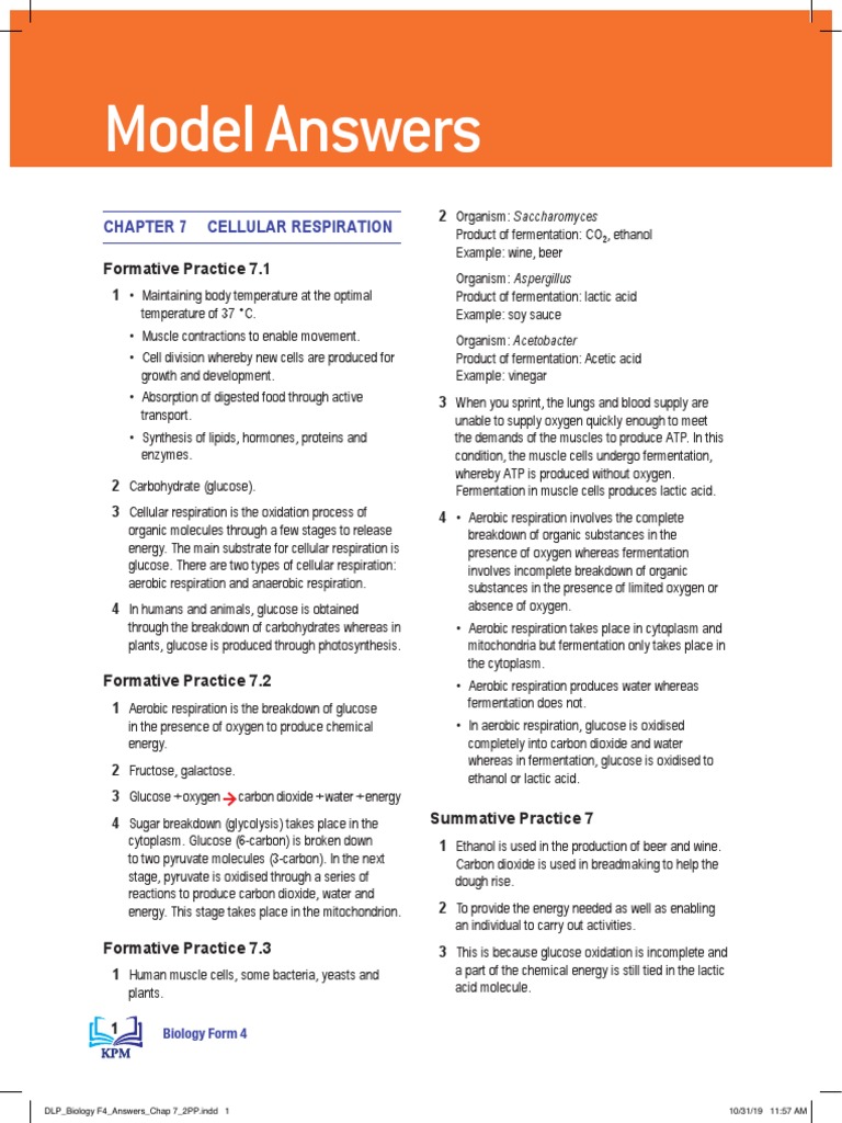 ANSWER Chapter 7 BIO F4 | PDF | Cellular Respiration | Fermentation