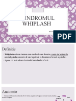 Sdr. Whiplash