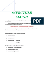 Infectiile Mainii