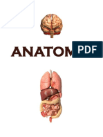 Anatomie Part 1