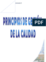 Principios de Gestion de La Calidad Completo