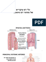 מצגת 2