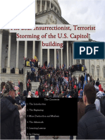 The 2021 Insurrectionist, Terrorist Storming of The U.S. Capitol Building