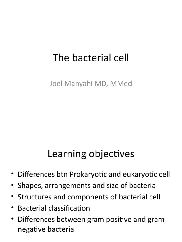Bacterial Cell Structure and Classification | PDF | Bacteria | Gram ...