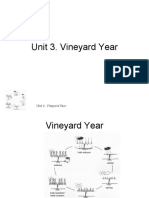 Unit 3 - Vineyard Year - White