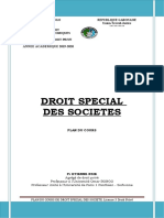 Plan Droit Special Des Societes 2020