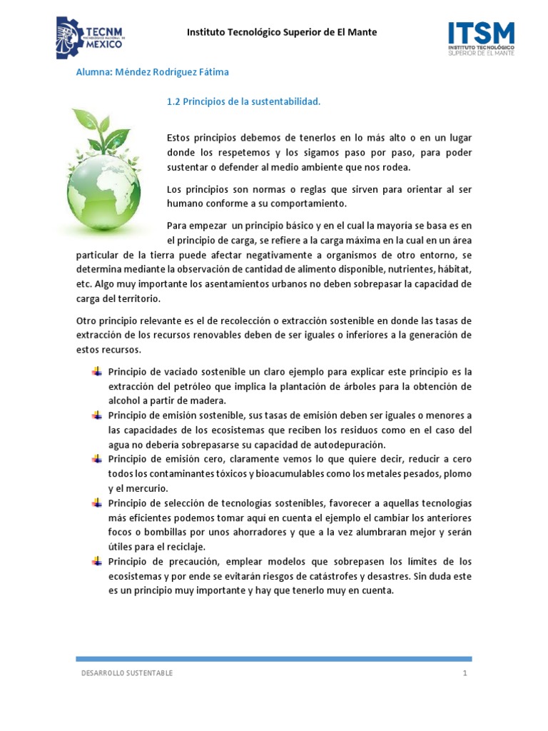 Principios de la Sustentabilidad | PDF | Sustentabilidad | Desarrollo ...