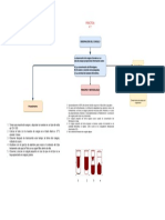 Mapa_mental_PRÁCTICAS_78_Y_9-_Uscanga_Arcos_Ricardo_(2) (1)-1