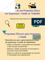 Diretrizes Para Programa de Segurança e Saúde