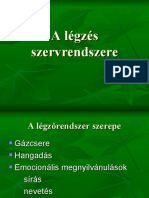 A Légzés Szervrendszere