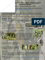 2 - Papone _ Buddleja stachyoides - cultivo-Afiche.pdf