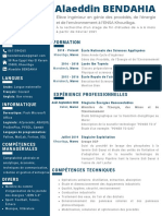 CV PDF