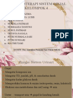 Kelompok 4 Farmakoterapi Sistem Ginjal Ibu Armaliza