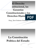 Constitucion y Derechos Humanos