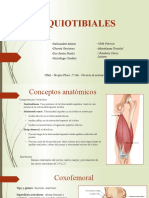 Isquiotibiales