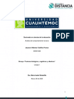 Jeysson Aldemar Cubillos Franco 1.2 Ensayo Factores Biológicos, Cognitivos y Afectivos