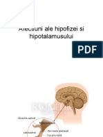 curs_2_endocrinologie