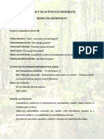 proiect_de_activitate_integrata_def FFF