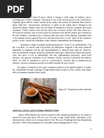 Analysis of Cinnamon Production in Sri Lanka