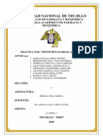 Practica N 06 Insuficiencia Renal Aguda