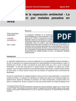 Informe Responsabilidad Contaminacio N Arica