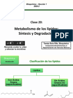 Clase 20 - Metabolismo de Los LÃ - Pidos BQ 2020-2