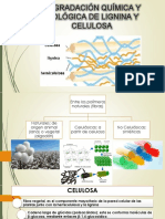 P2.1 - Degradación Química y Biológica de Lignina y Celulosa