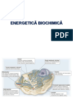 Energetica 2017