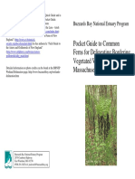 Pocket Guide To Common Ferns For Delineating Bordering Vegetated Wetlands in Massachusetts 2012