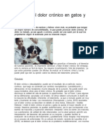 Manejo Del Dolor Crónico en Gatos y Perros PDF