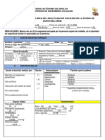 Guía de Valoración y Plan de Cuidados