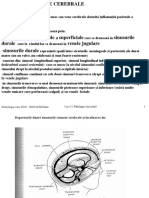 12_curs Patologie vasculara si neuroinfectii.pdf