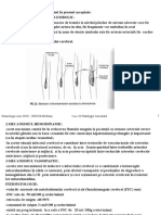 11 - Curs Patologie Vasculara PDF