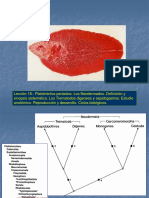 Leccion_18_Los_Trematodos_Digenea